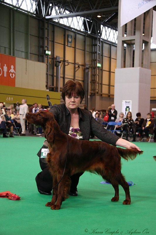 Crufts2011 165.jpg